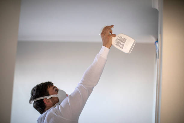 Best Mold Damage Repair  in Dorothy, NJ