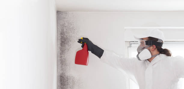 Best Crawl Space Mold Removal  in Dorothy, NJ