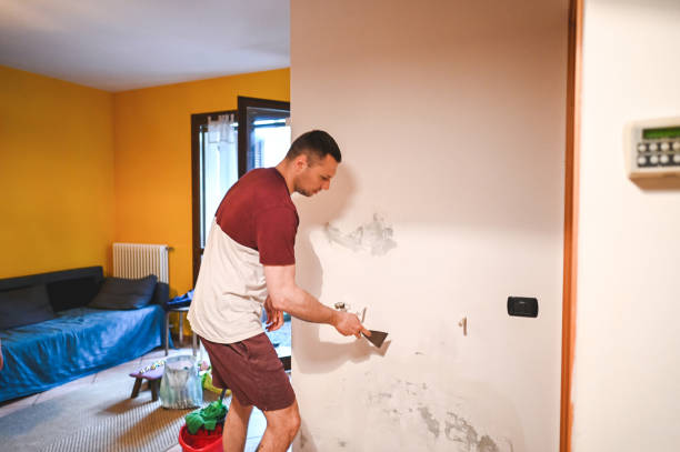 Best Same-Day Mold Removal  in Dorothy, NJ
